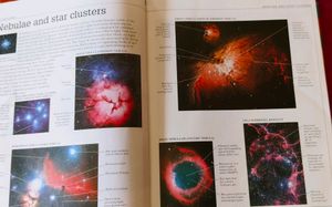 DK ultimate Family Visual Dictionary