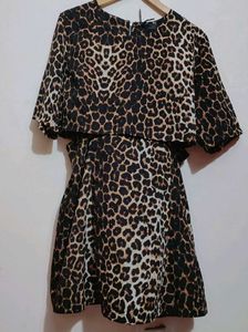 Brown Lion Printed Dress For 36 Bust