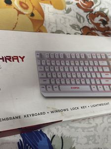 EvoFox Deathray RGB Gaming Keyboard