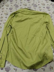 Stylish Green Shirt