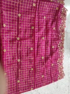 Organza Cut Work Checks Dupata