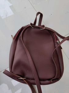 Stylish  Backpack