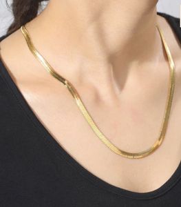 Gold Plated Snake Chain⭐️