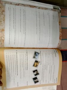 WOW GK Book For Class 8th