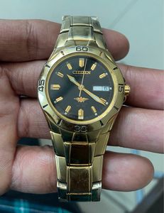 Citizen Luxury Watch
