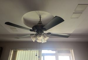 Used Decorative Ceiling Fan