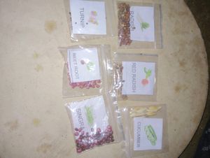 50 Types of Vegetable Plant Seeds
