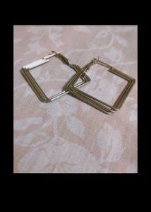 Silver Earnings