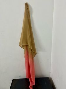 Festive Coral Gown With Ombre Duppata