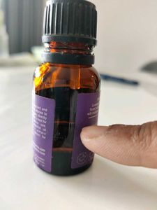 Lavender Essential Oil