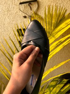 Black Belly Shoe