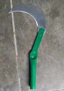 Garden Grass Cutting Dranti