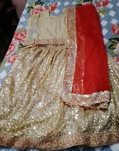 Red & Golden Lehnga Choli