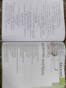 Human Anatomy Vol. 2 with free workbook