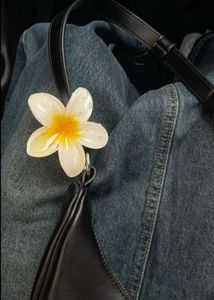 Hair Accessory