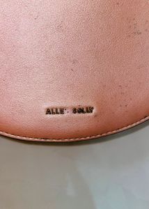 Big Brand Shimmer Pink Allen Solly Sling Bag