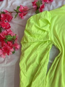 Multipurpose fluorescent top