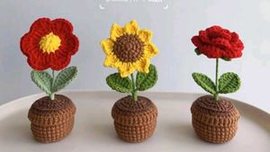 Crochet Flower Pot