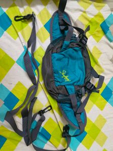 Skybags Waist Bag