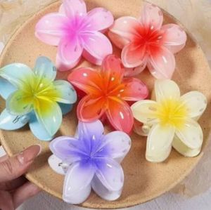 Flower Hair Clips pack of 2
