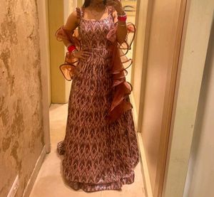 Elegant Ethnic Gown