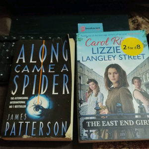 combo of two fiction books