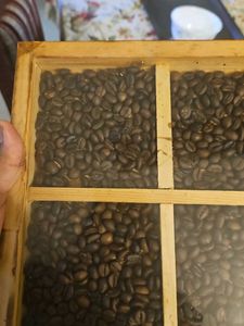 Coffee Bean TRAY