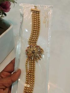 Gold Plated Chocker