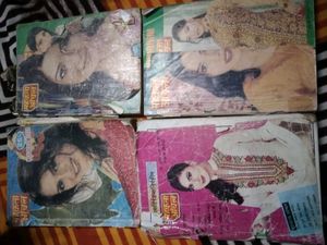 mahakata aanchal novel