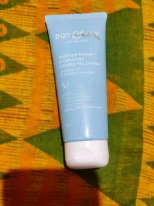 Barrier Repair Hydrating Gentle Face Wash
