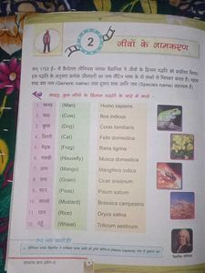 Class 6 GK Book In Hindi