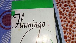 Flamingo English Textbook Class 12