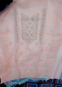 Organza Pakistani Suit