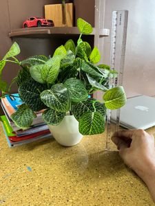 Artificial Plant