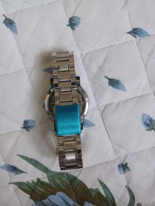 Exotica Watch New