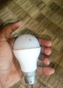 12 Watt Dc Blub