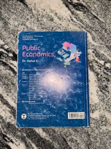 Public Economics