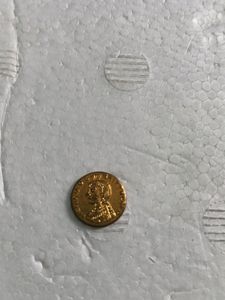Victoria d g Britt Reg F.D Gold Coin 1911 TOKEN CO