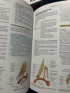 Textbook of Anatomy