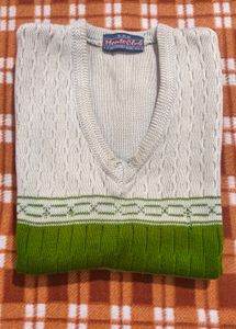 Stylish Sweater Vest