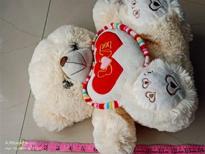 Love Teddy Bear
