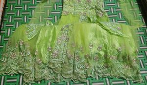 Stone And Thread Work Parrot Green Gown