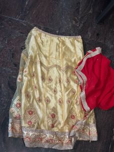 Embroidered Lehenga Choli