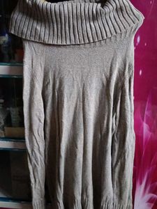Winter Turtle Neck Long Top