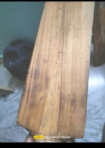 Willow Cricket Bat