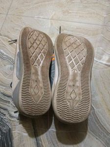Sport Shoes 👞