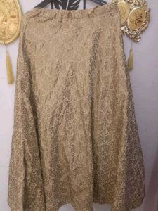 Elegant Ethnic Skirt