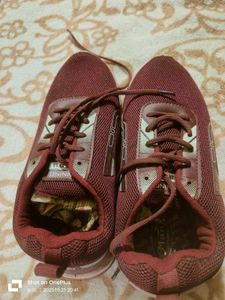 Maroon Sneakers