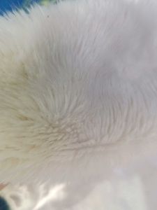 Luxury Fuzzy White Vest
