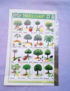 School Project Sticker